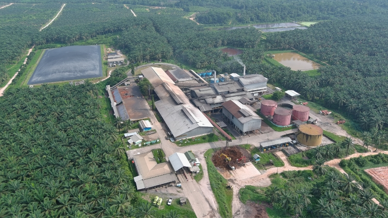 Perdana Palm Oil Mill
