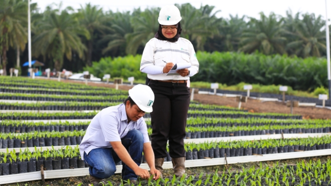 Continuous Improvement