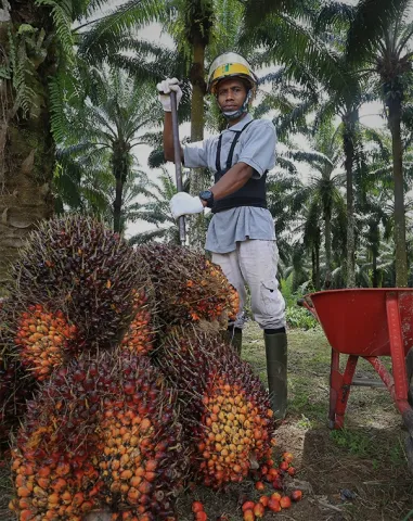 empowering_livelihood