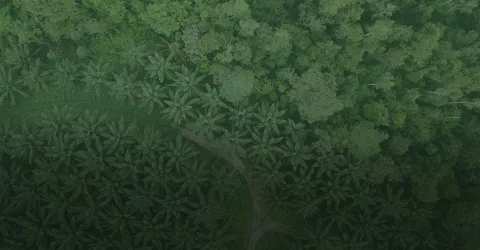 Cultivating Tomorrow, Today