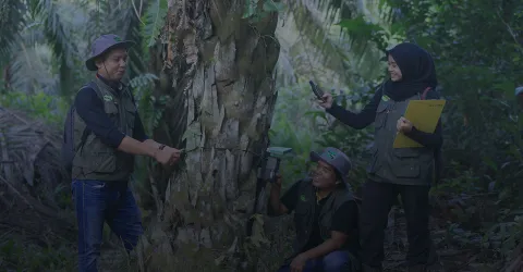 Protecting and Conserving Forests to Preserve Biodiversity