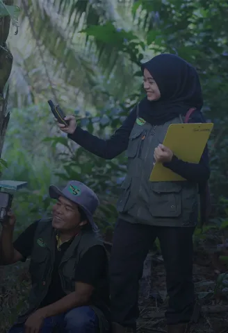 Protecting and Conserving Forests to Preserve Biodiversity