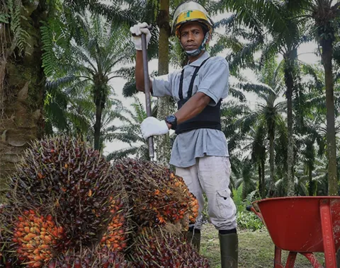 Empowering Livelihoods